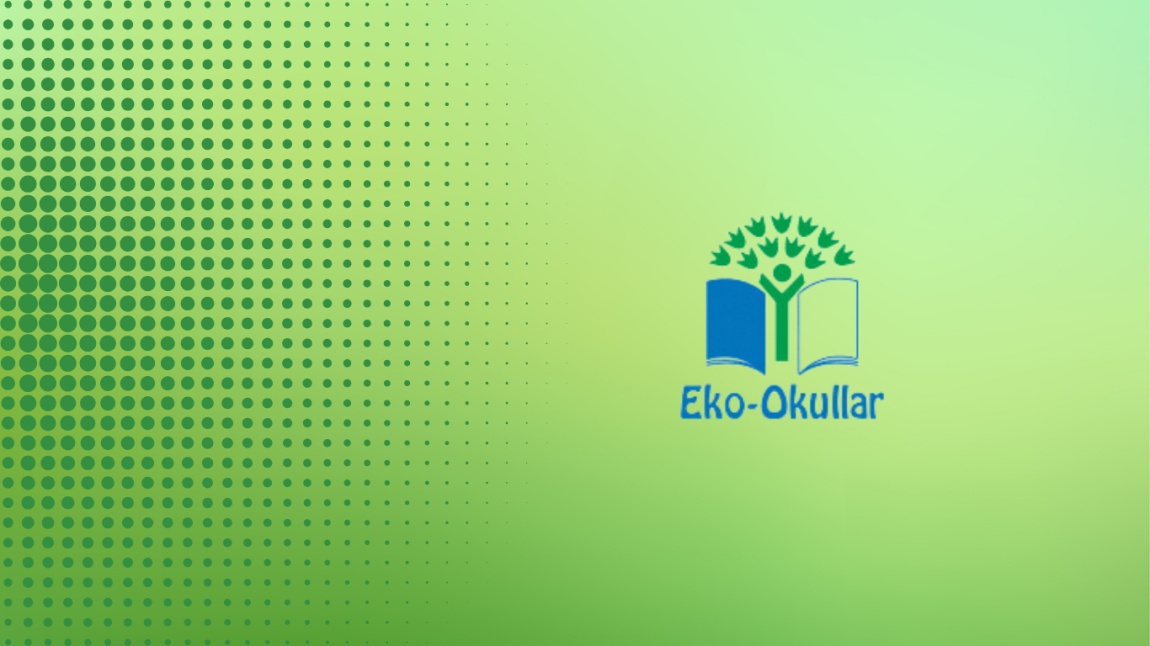 Okulumuzda Eko-Okullar programı uygulanmaktadır.